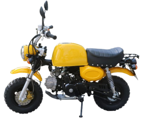 Mini Gas Motorcycle for Adult And Teens